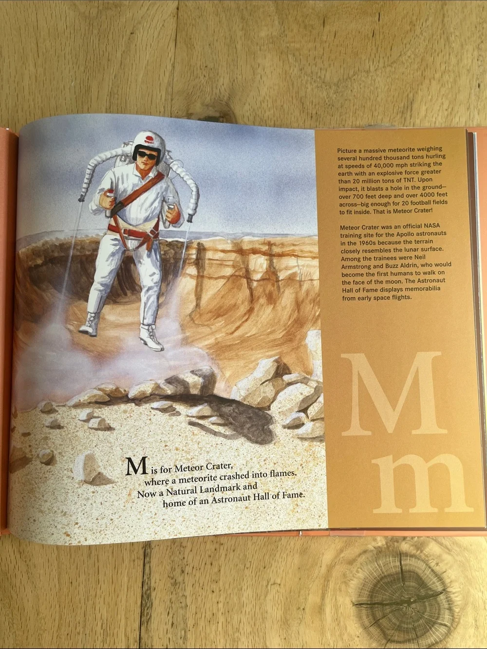 State Alphabet Books - Oregon and Arizona